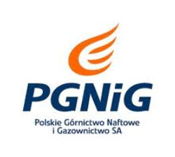PGNiG logo